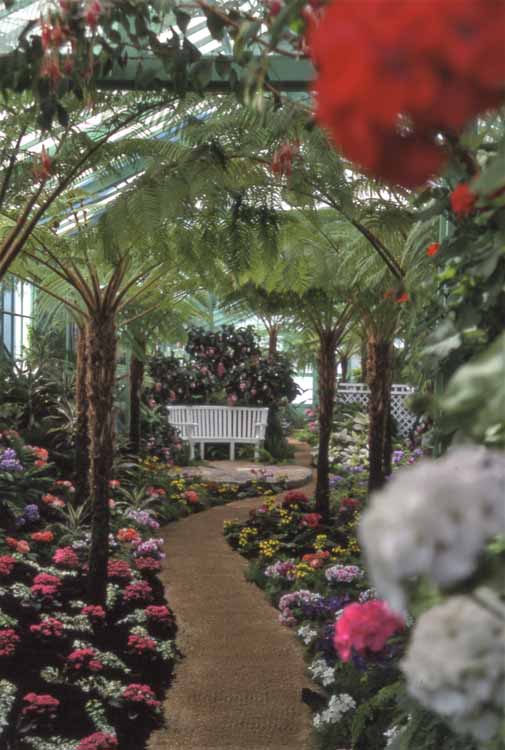 greenhouse